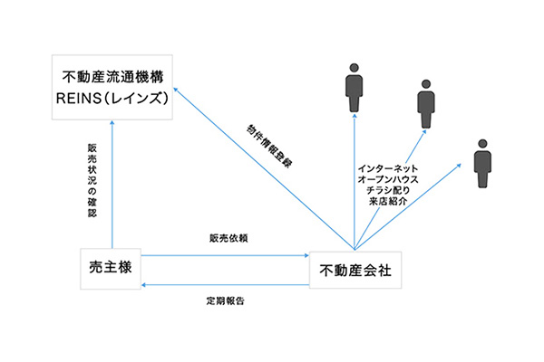 知っておきたいレインズの仕組みと機能